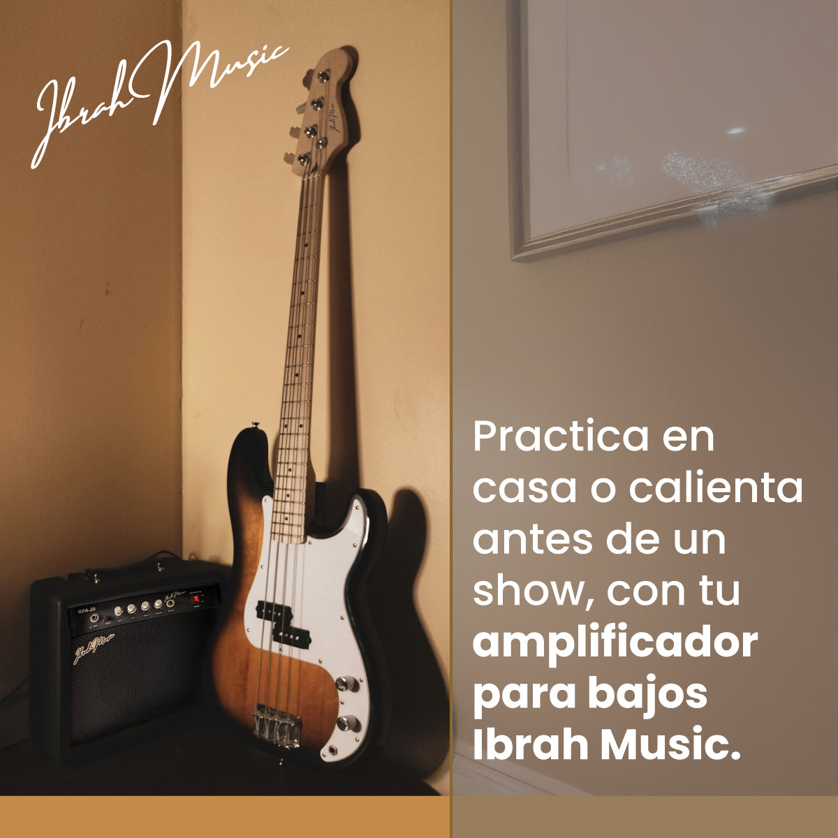 Amplificador RPA-20 - vista 7