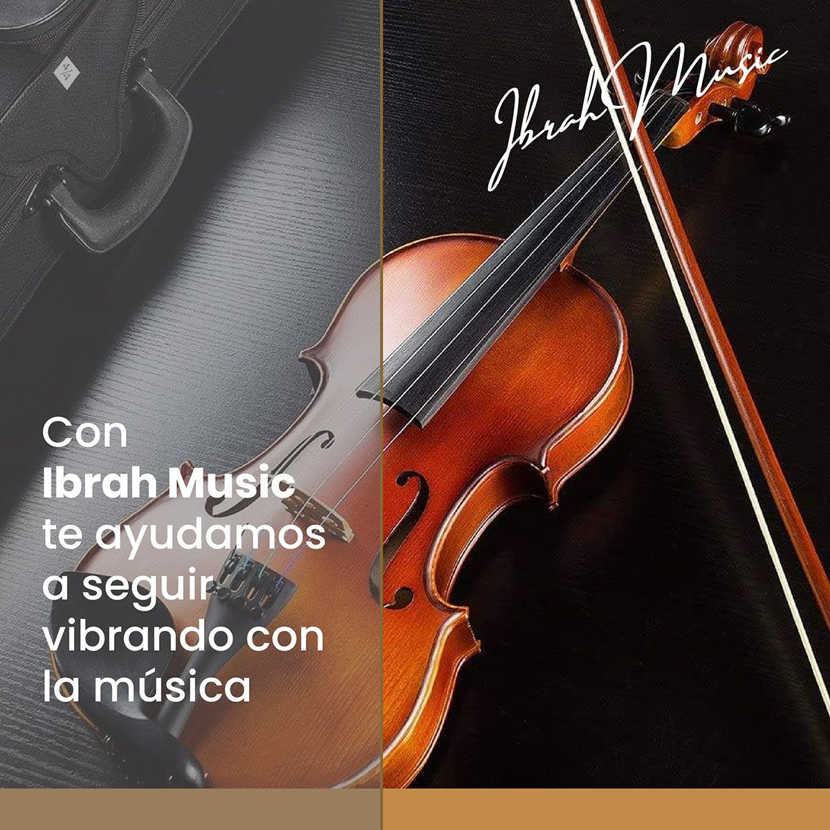 Violín 4/4 con Estuche + Arco y Accesorios